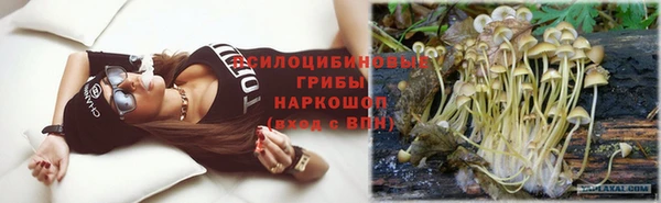 шишки Аркадак