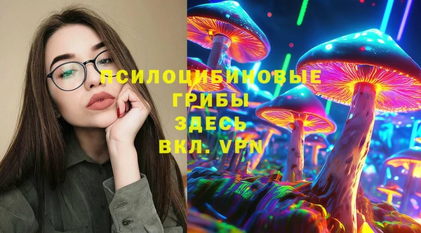 прущая мука Армянск