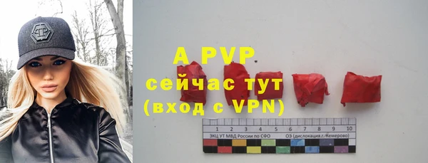 шишки Аркадак