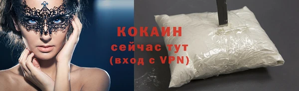 шишки Аркадак