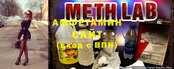 шишки Аркадак