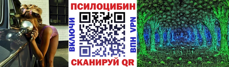 Псилоцибиновые грибы Psilocybine cubensis  Чаплыгин 